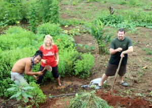 Organic Farm, Spicy Villa eco-lodges, Chiang Mai, Thailand