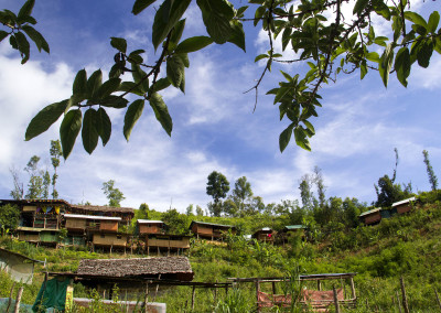 Bungalows and organic farm