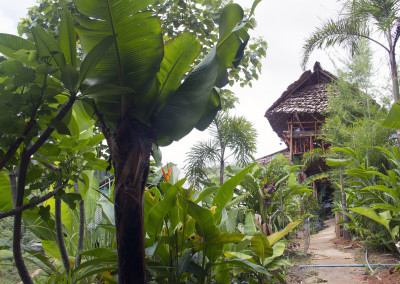 Green path to common area