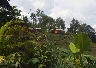 Organic farm at Spicy Villa