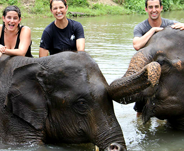 Bathing with elephants - loads of fun for elephants and humans :)