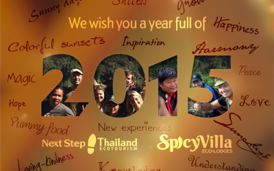 Happy New Year from Spicy Villa crew!